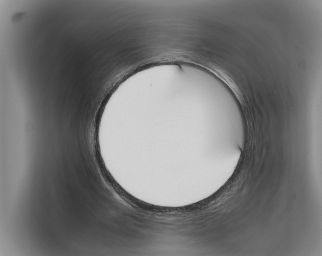 X0000111650485200908281052