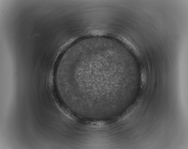 X0000111650492200908281052