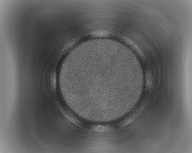 X0000111650494200908281052