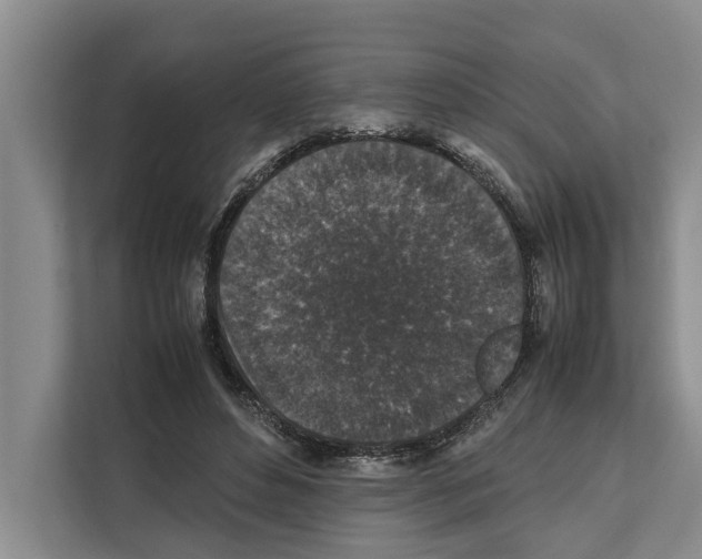 X0000111650496200908281052