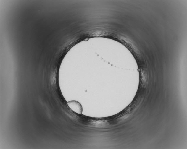 X0000111650499200908281052