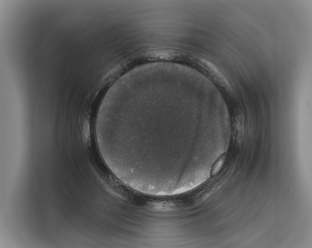 X0000111650500200908281052