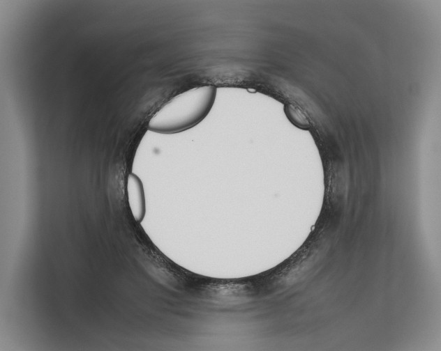 X0000111650501200908281052