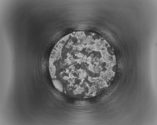 X0000111650503200908281052