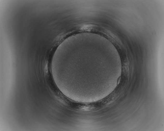 X0000111650504200908281052