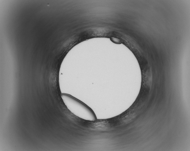 X0000111650505200908281052