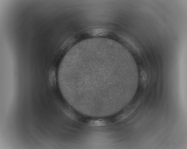 X0000111650506200908281052