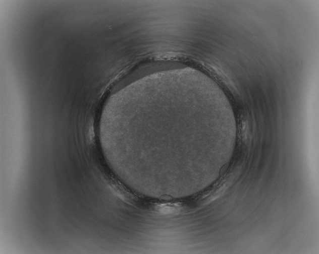 X0000111650508200908281052