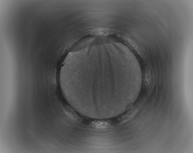 X0000111650512200908281052