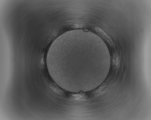 X0000111650516200908281052
