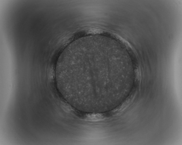 X0000111650517200908281052