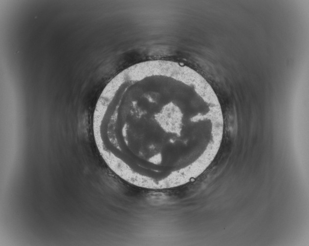X0000111650519200908281052