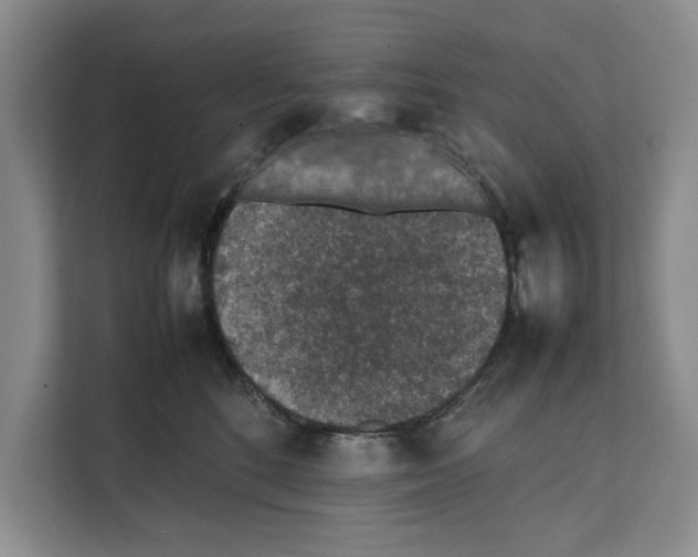 X0000111650520200908281052
