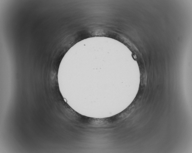 X0000111650521200908281052