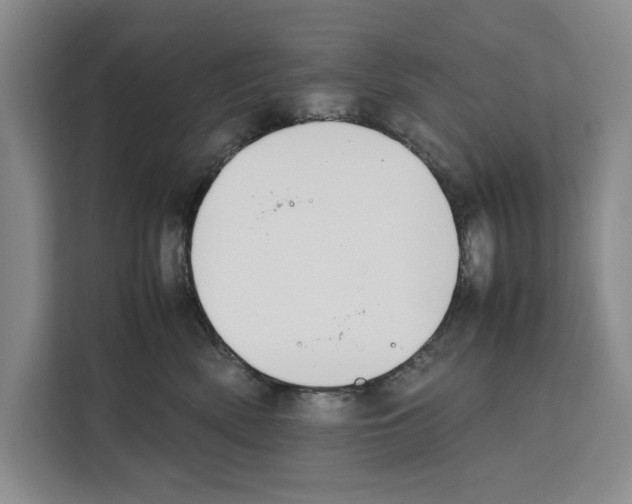 X0000111650522200908281052