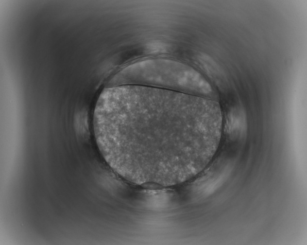 X0000111650524200908281052