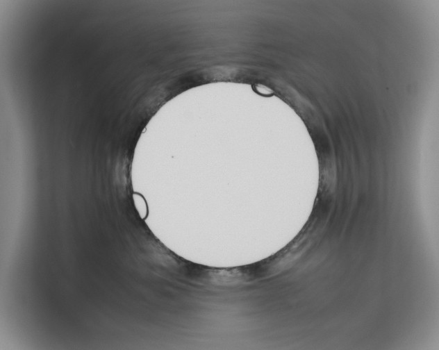 X0000111650525200908281052