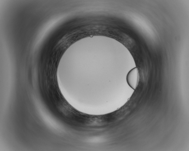 X0000111650526200908281052