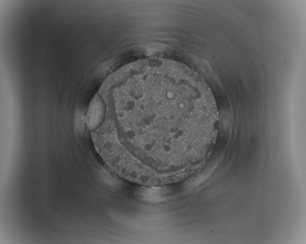 X0000111650527200908281052