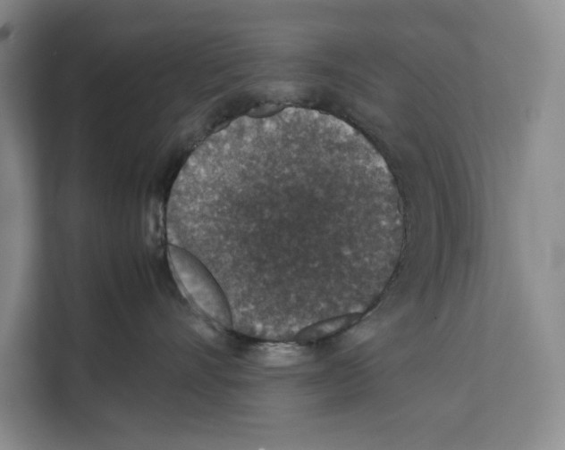 X0000111650528200908281052
