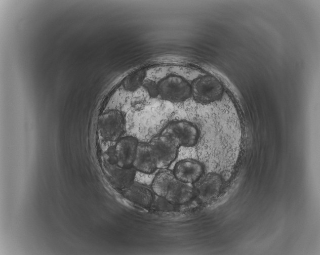 X0000111650529200908281051