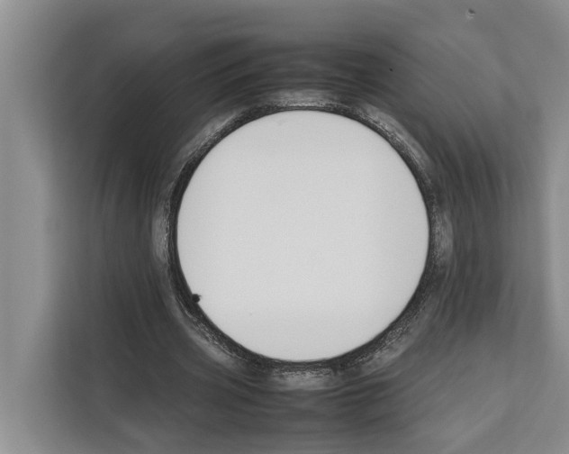 X0000111650533200908281051