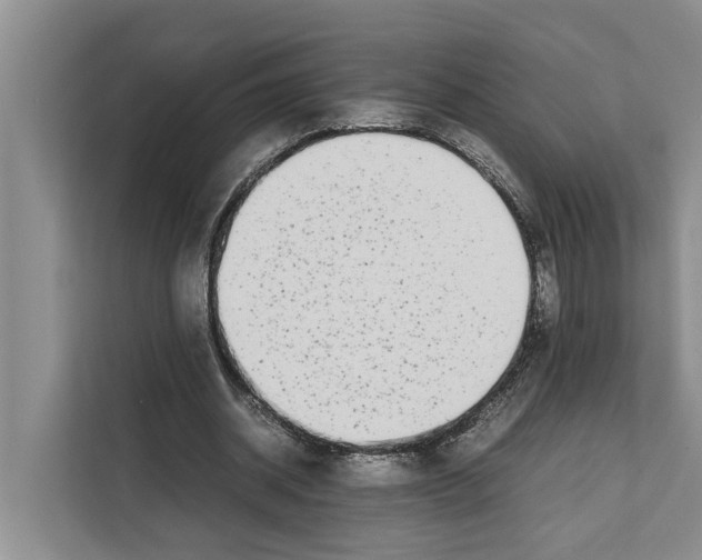 X0000111650534200908281051