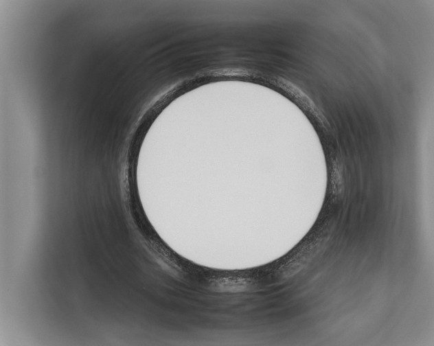 X0000111650535200908281051