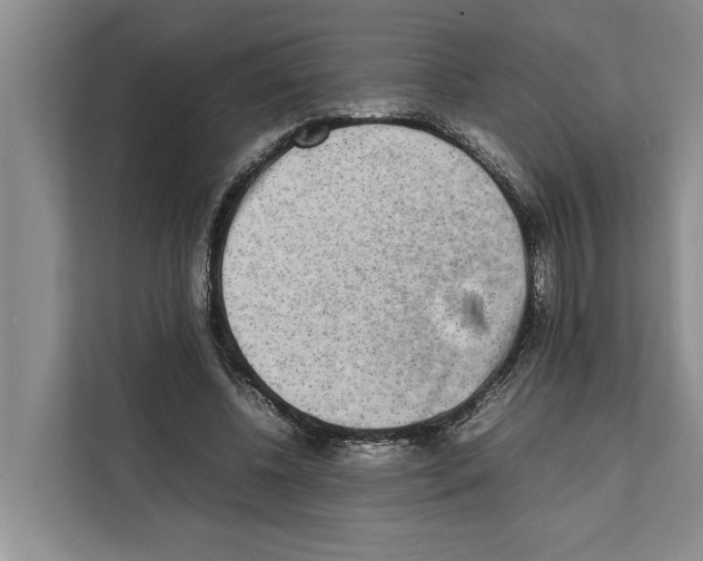 X0000111650540200908281051