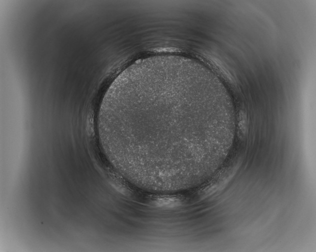 X0000111650547200908281051