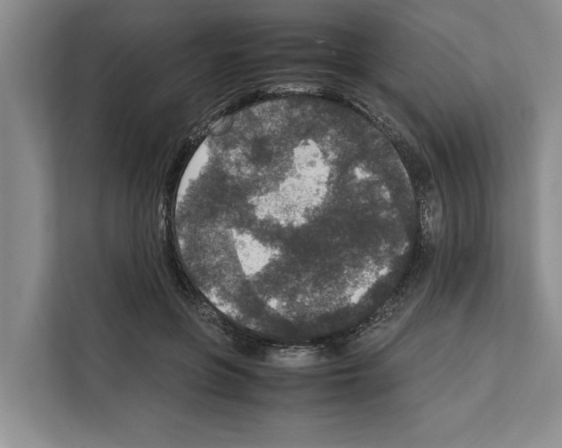 X0000111650551200908281051