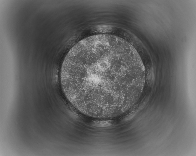 X0000111650553200908281051