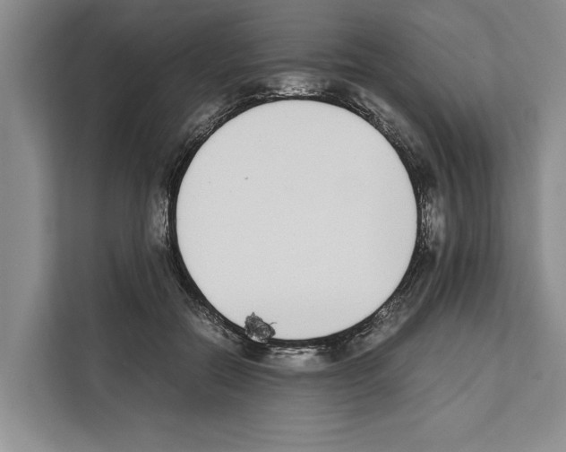 X0000111650554200908281051