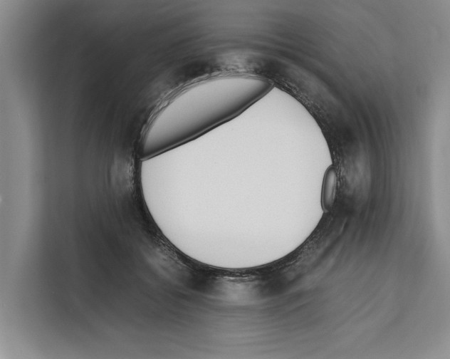 X0000111650556200908281051