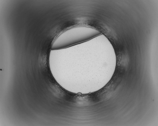 X0000111650560200908281051