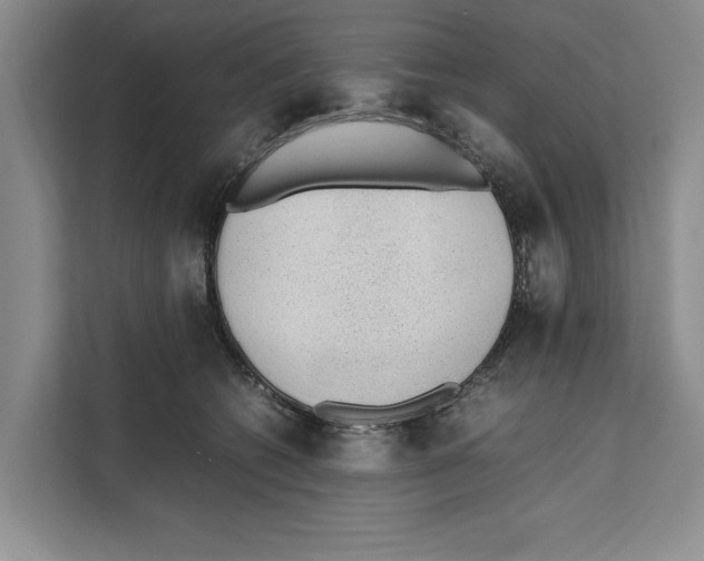 X0000111650562200908281051
