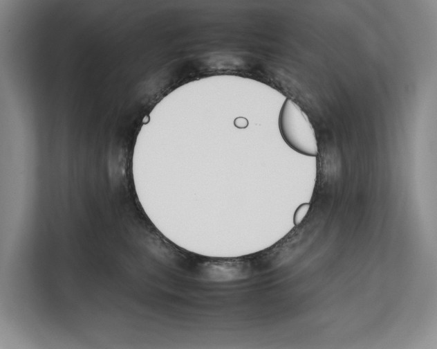 X0000111650567200908281051