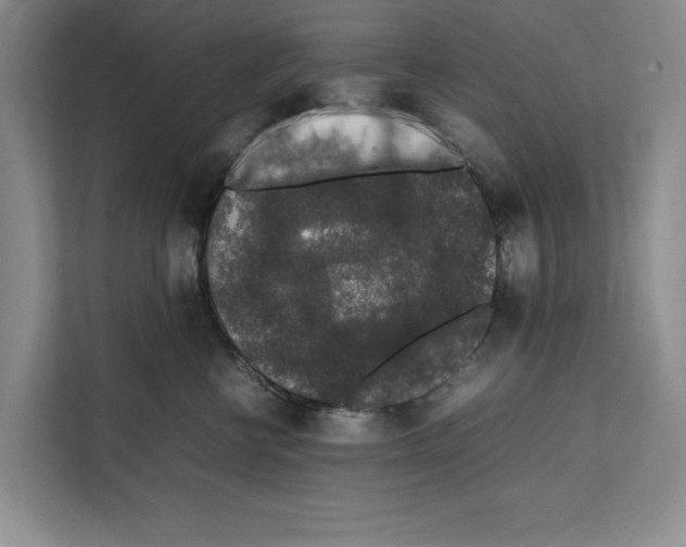 X0000111650570200908281051