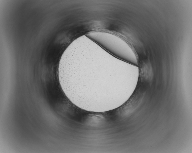 X0000111650572200908281051