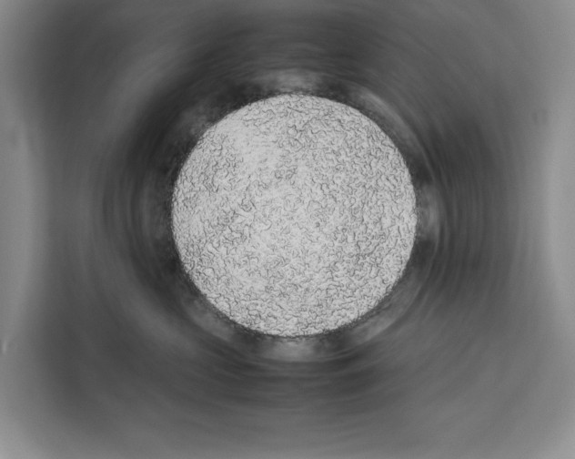 X0000111650573200908281051