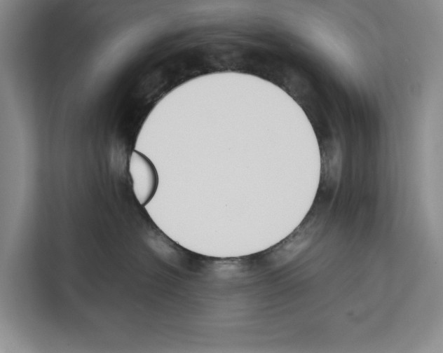 X0000111650574200908281051