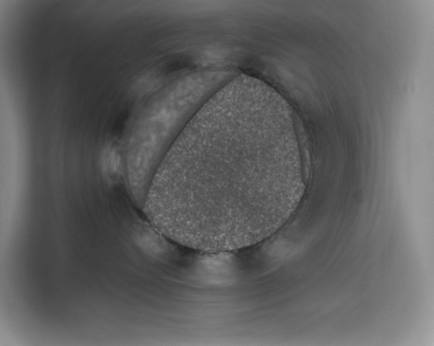 X0000111650576200908281051