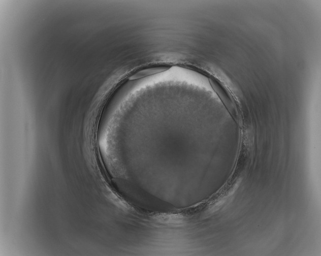 X0000111650577200908281051