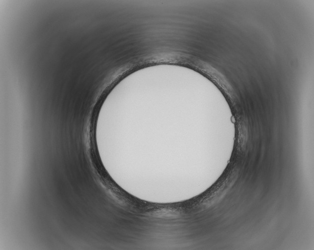 X0000111650578200908281051