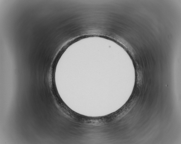 X0000111650580200908281051