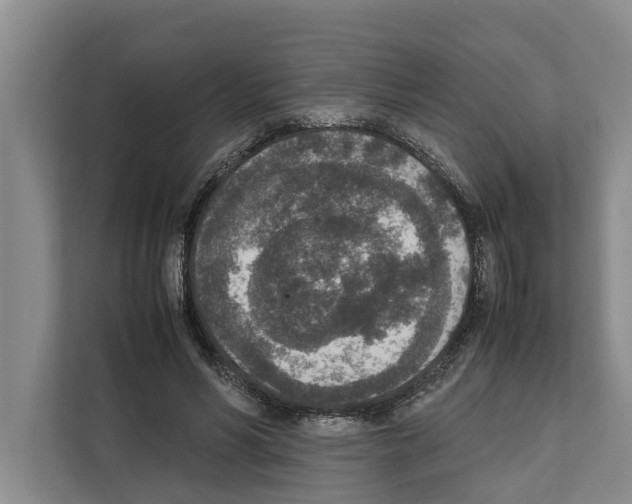 X0000111650590200908281051