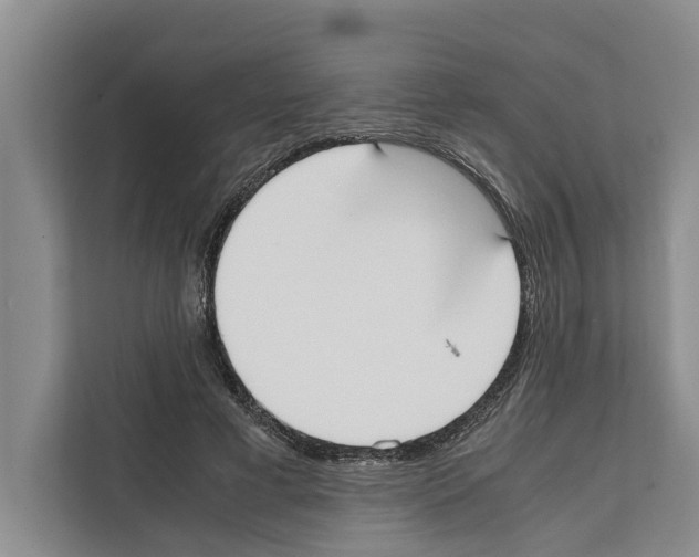 X0000111650593200908281051