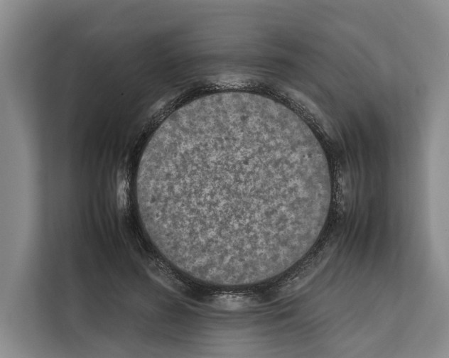 X0000111650596200908281051