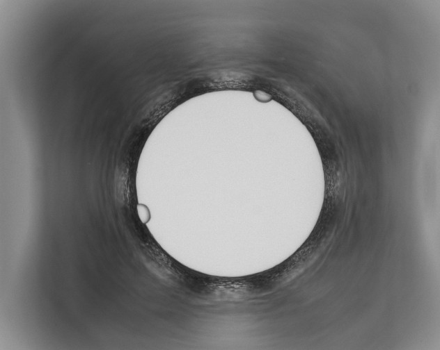 X0000111650599200908281051