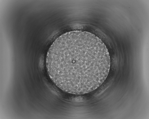 X0000111650600200908281051